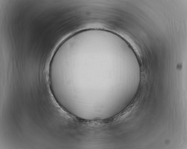 X0000097600815200803211658