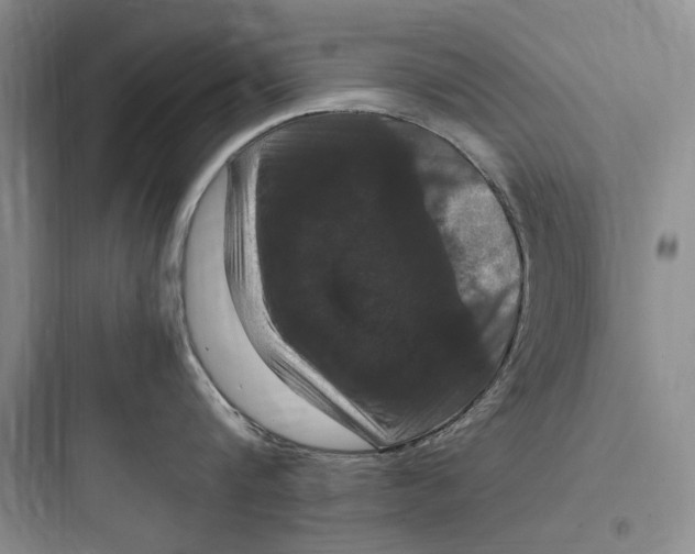 X0000097600816200803211658