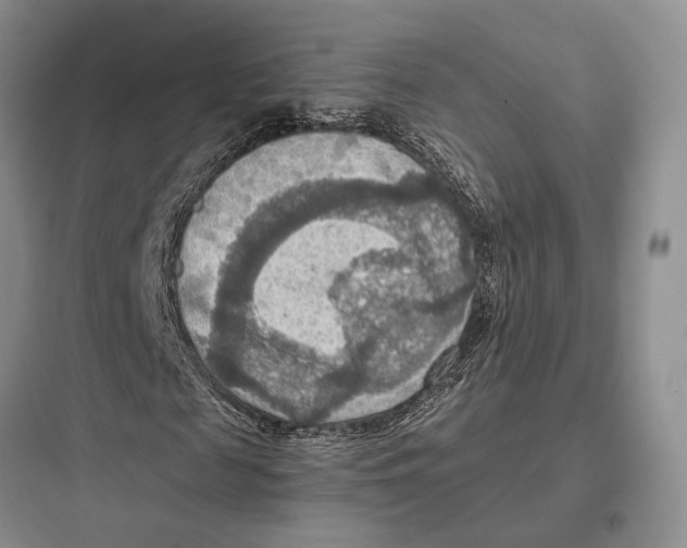 X0000097600817200803211657