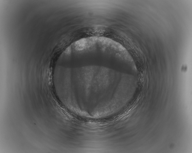 X0000097600818200803211657