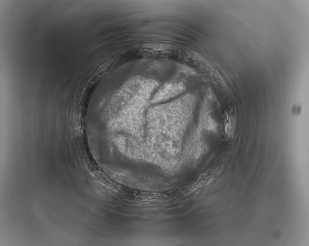 X0000097600819200803211657