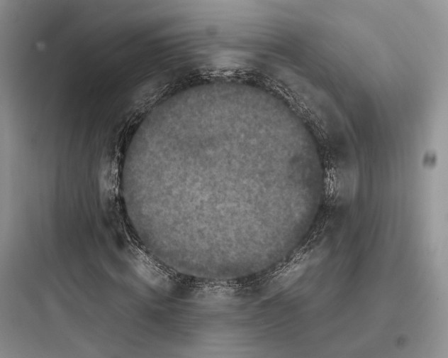 X0000097600820200803211657