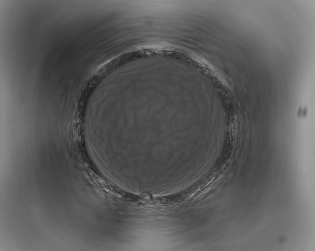 X0000097600822200803211657