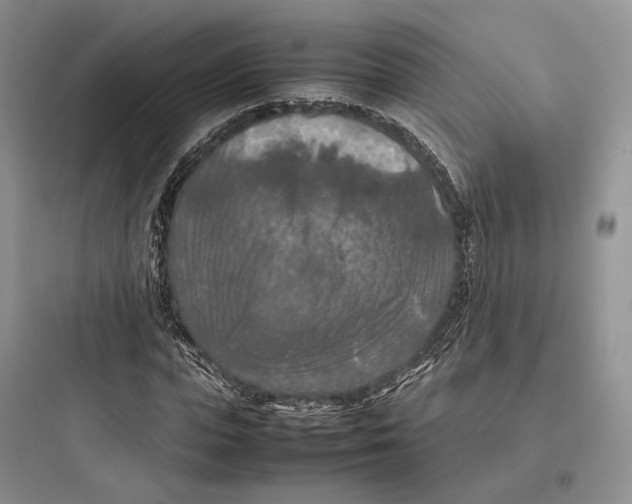 X0000097600823200803211657