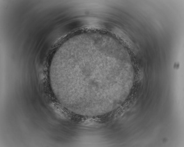 X0000097600824200803211657