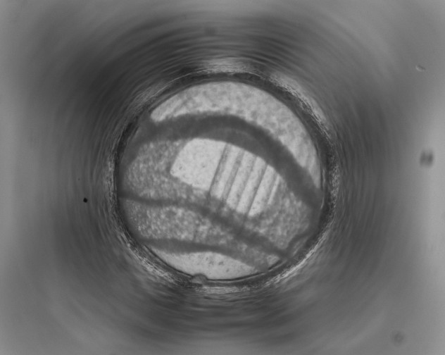 X0000097600825200803211657