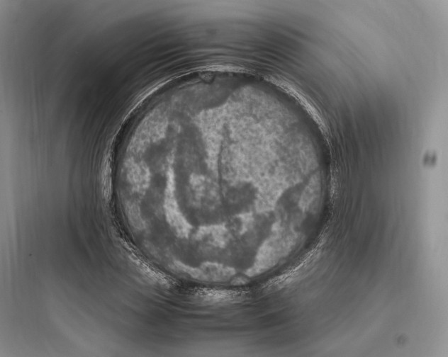 X0000097600829200803211657