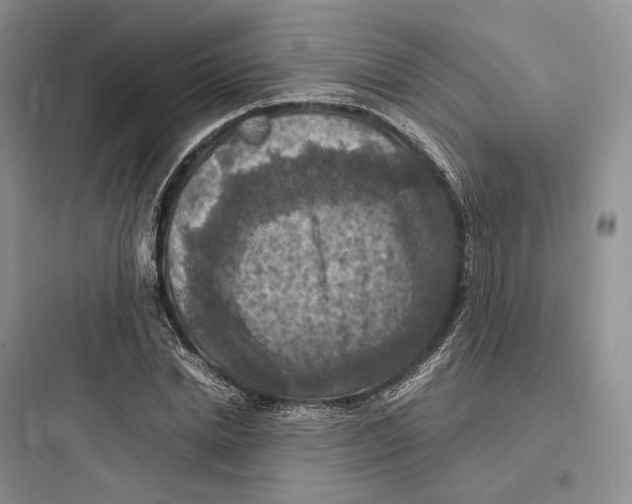 X0000097600830200803211657