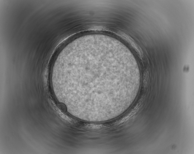 X0000097600831200803211657