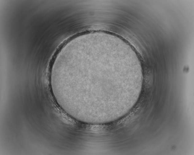 X0000097600832200803211657