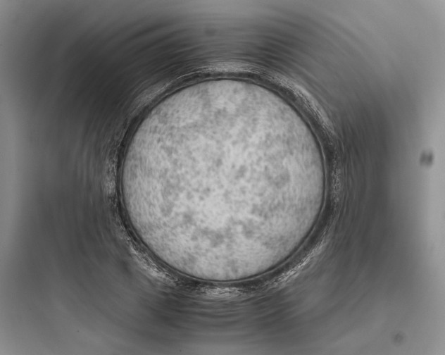 X0000097600833200803211658