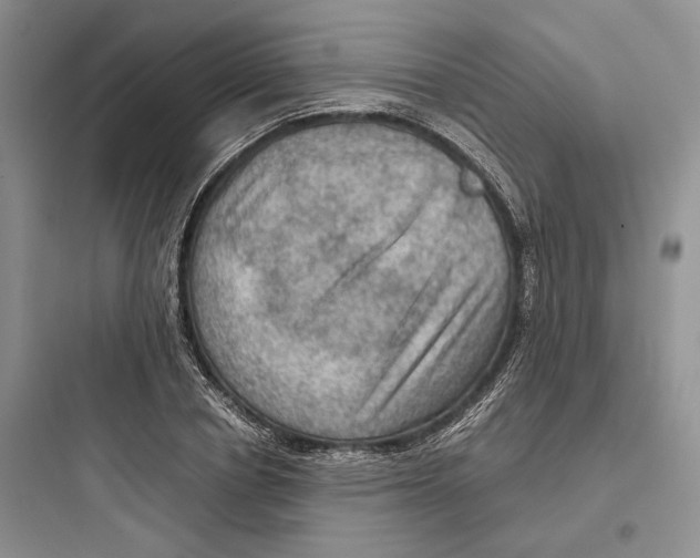 X0000097600834200803211658