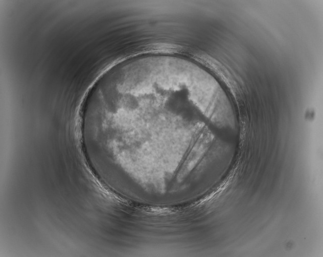 X0000097600835200803211658
