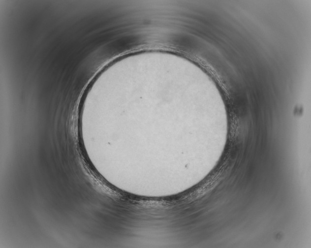 X0000097600836200803211658