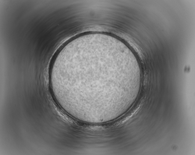 X0000097600837200803211658
