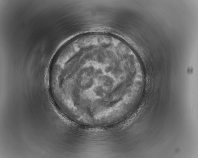 X0000097600838200803211658