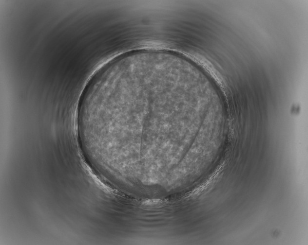 X0000097600839200803211658