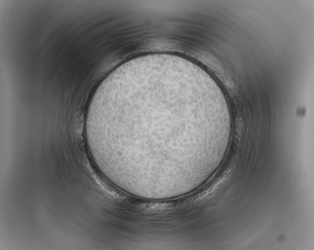 X0000097600841200803211658
