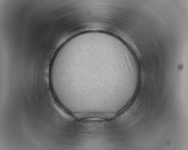 X0000097600842200803211658