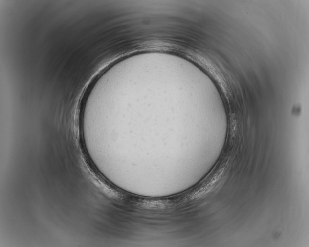 X0000097600843200803211658