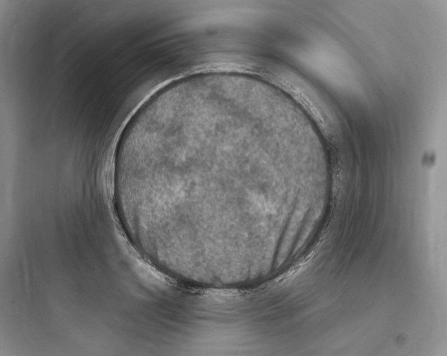 X0000097600844200803211658