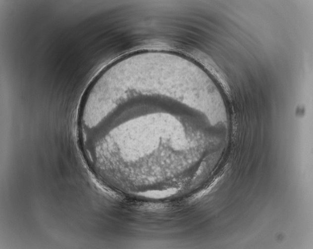 X0000097600845200803211658