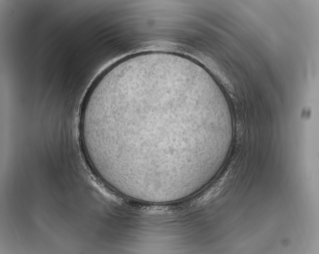 X0000097600846200803211658