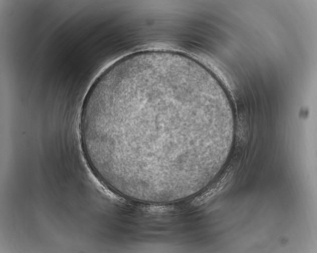 X0000097600847200803211658