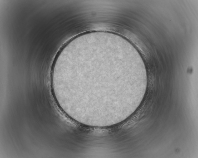X0000097600848200803211658
