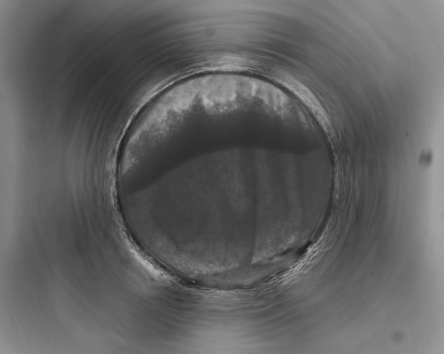 X0000097600850200803211658