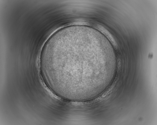X0000097600852200803211658