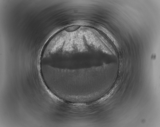 X0000097600853200803211658