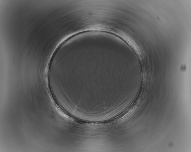 X0000097600854200803211658