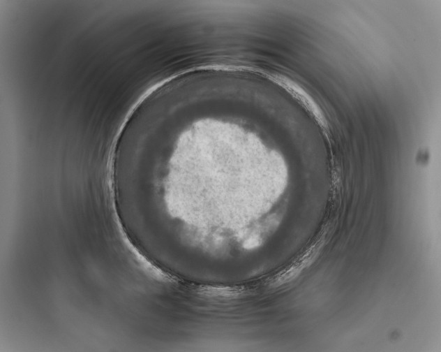 X0000097600855200803211658