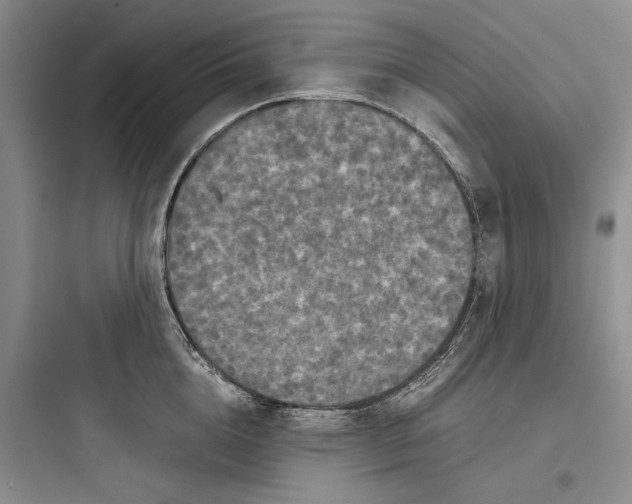 X0000097600856200803211658