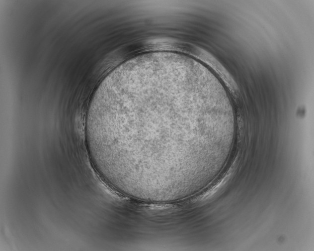 X0000097600857200803211658