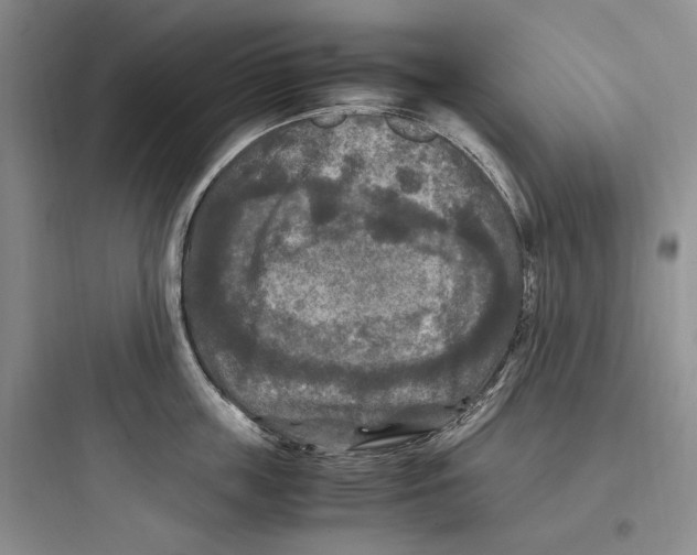 X0000097600859200803211658