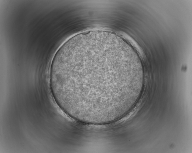 X0000097600860200803211658