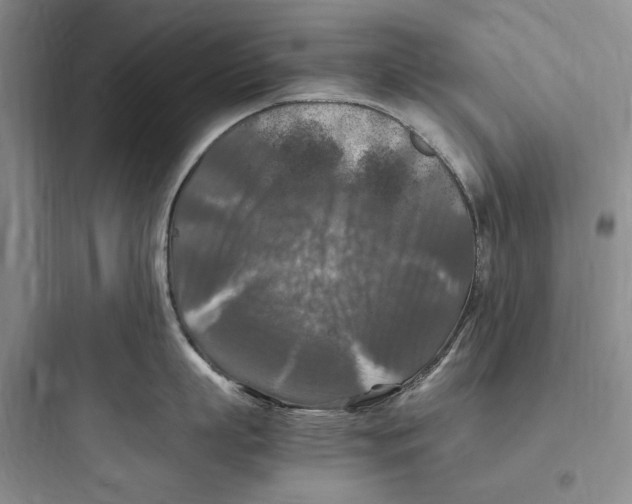 X0000097600863200803211658
