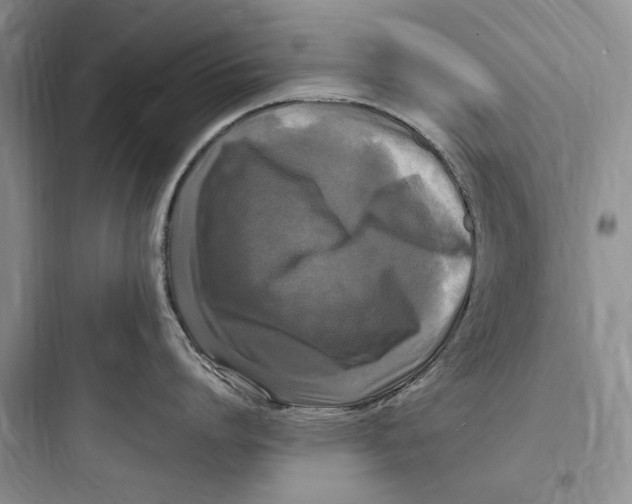 X0000097600864200803211658