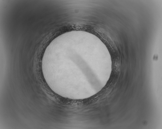 X0000097600865200803211657