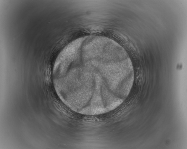 X0000097600866200803211657