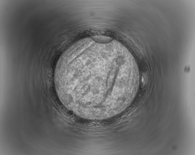 X0000097600867200803211657