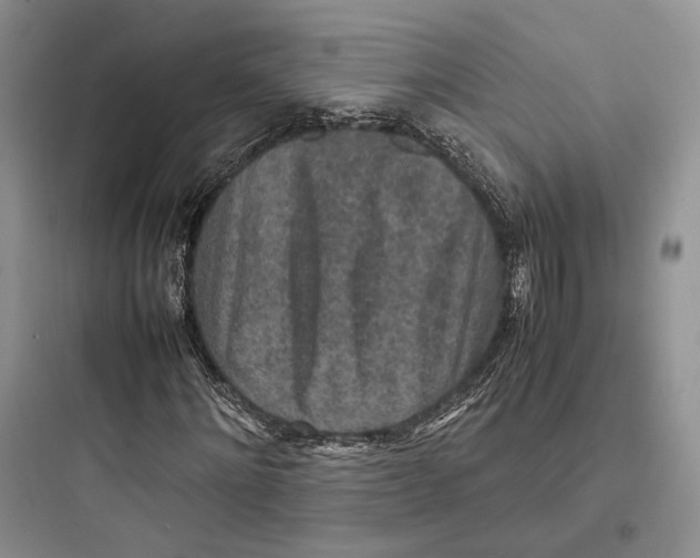X0000097600868200803211657