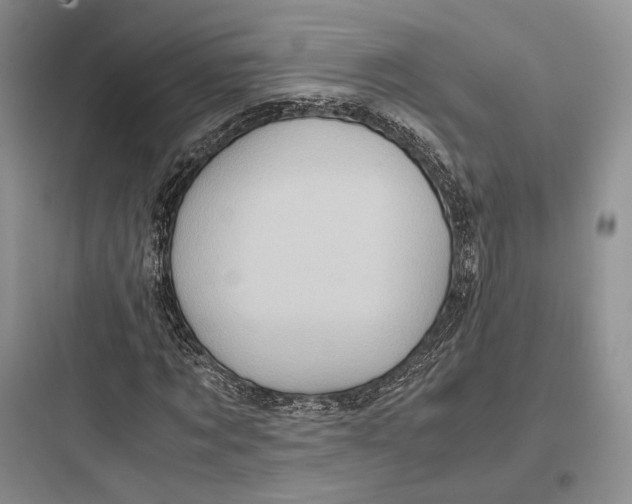 X0000097600869200803211657