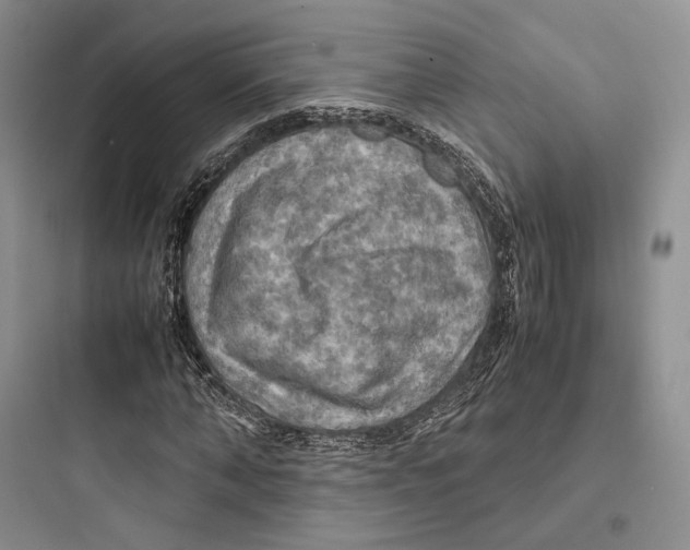 X0000097600870200803211657