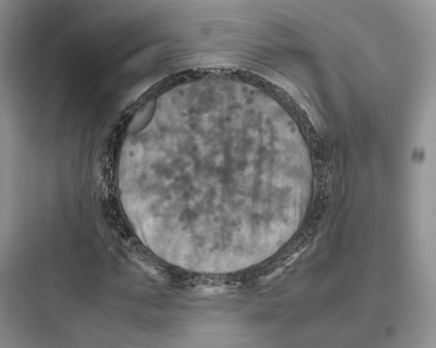 X0000097600871200803211657