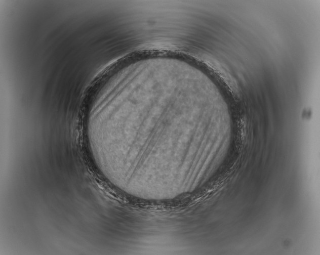 X0000097600872200803211657