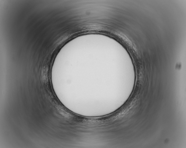 X0000097600873200803211657