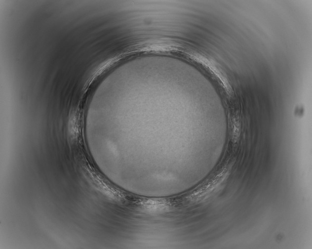 X0000097600874200803211657